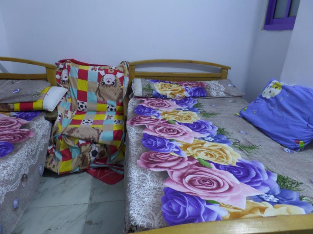 برج بيلو بيتش Apartmán Alexandrie